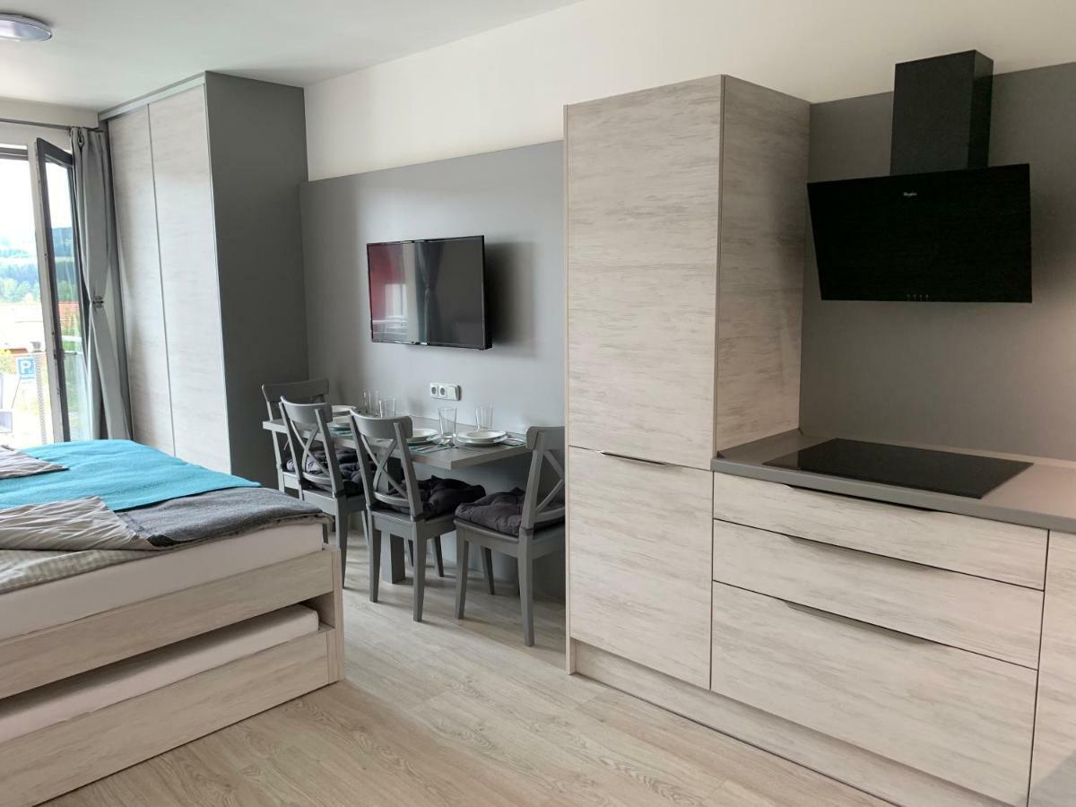 Apartman Denisa Lipno nad Vltavou Ngoại thất bức ảnh